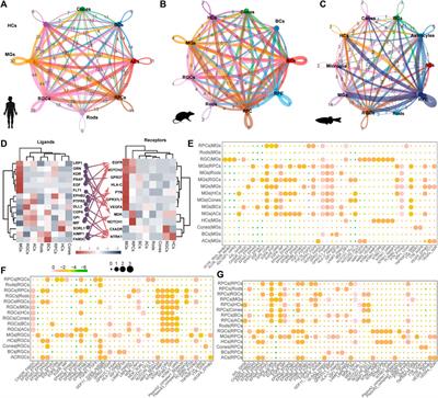 Cross-species single-cell landscapes identify the pathogenic gene characteristics of inherited retinal diseases